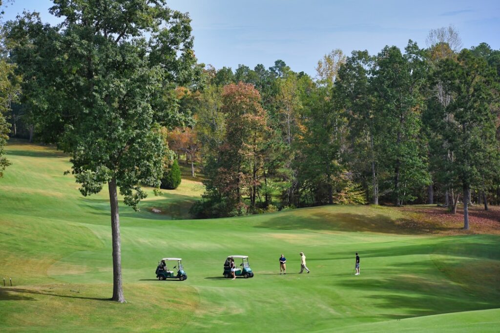 Next Round Golf: Elevating Your Game to the Next Level